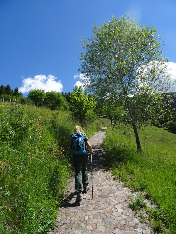 Catena dei Lagorai...da Pergine al Passo del Manghen